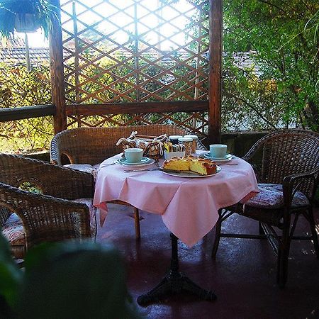 Le Camelie Acomodação com café da manhã Brissago-Valtravaglia Exterior foto