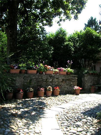 Le Camelie Acomodação com café da manhã Brissago-Valtravaglia Exterior foto