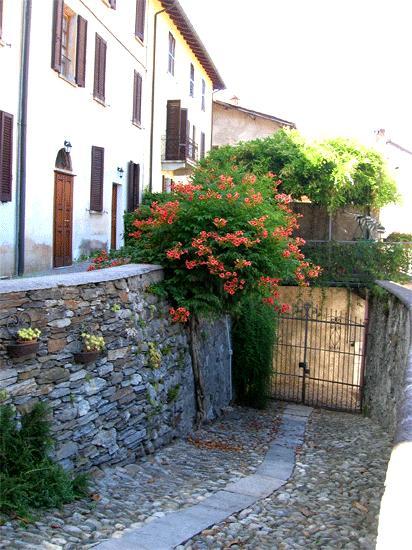 Le Camelie Acomodação com café da manhã Brissago-Valtravaglia Exterior foto